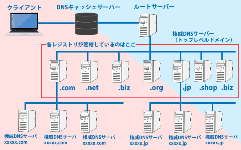 権威DNSサーバー