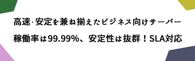 エックスサーバービジネス「特徴」